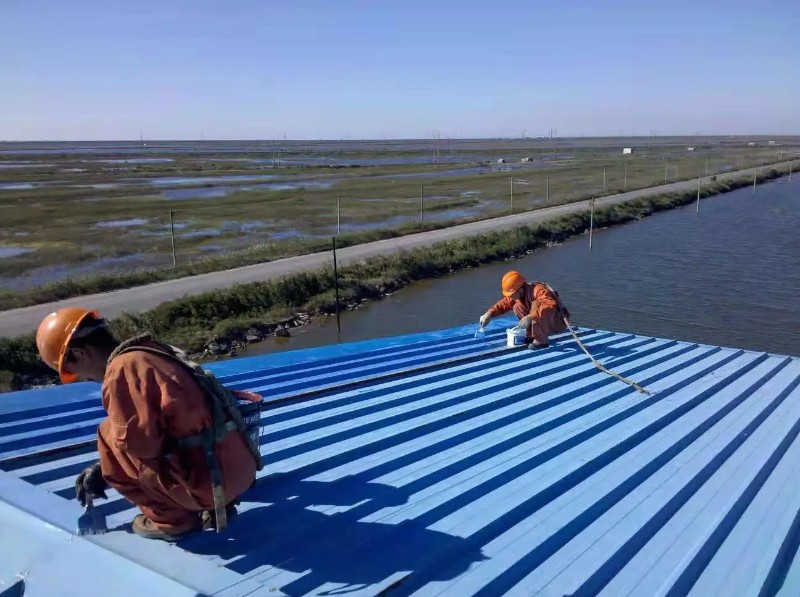 嘉鱼钢结构屋面漏水原因